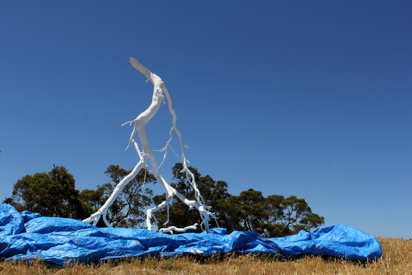 Tarpspace Launch, Fontanelle Gallery, Adelaide, 2012